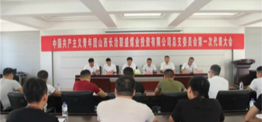共青團山西長治聯盛煤業投資有限公司總支委員會召開第一次代表大會