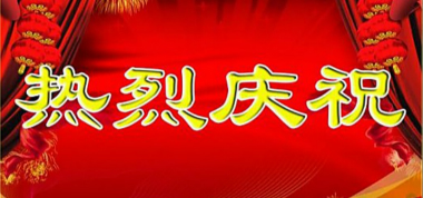 賀——聯盛公司官網上線運行